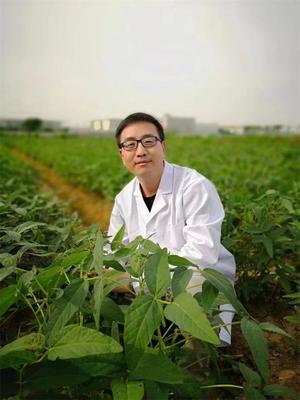 王學(xué)路教授科研成果榮登2021年度“中國高等學(xué)校十大科技進(jìn)展”，為農(nóng)業(yè)科學(xué)發(fā)展注入新動力