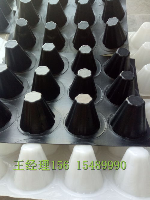 瑞金H20排水板 創鴻品質，構筑堅實防潮基石
